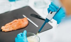 <b>2026食物检测行业全景调研及成长前景预测</b>